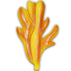 КОРАЛЛ 